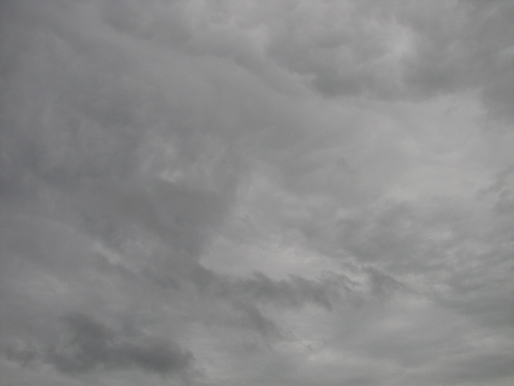 20100206 569.JPG